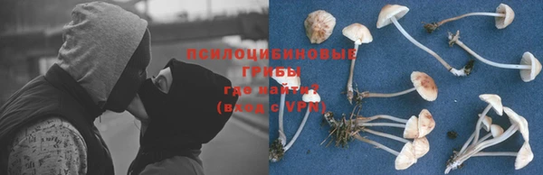таблы Алексеевка