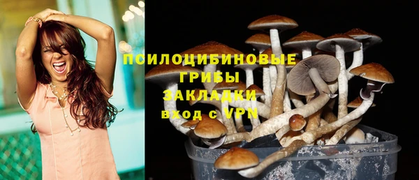 таблы Алексеевка